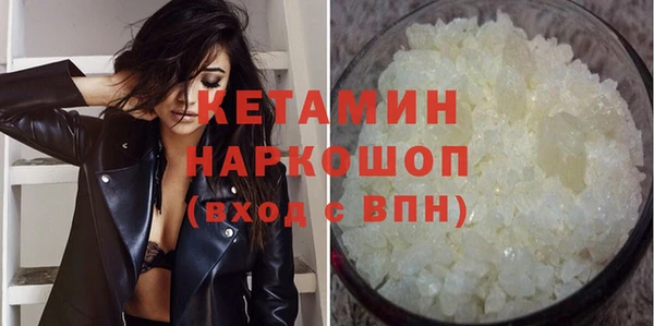 СК Новодвинск