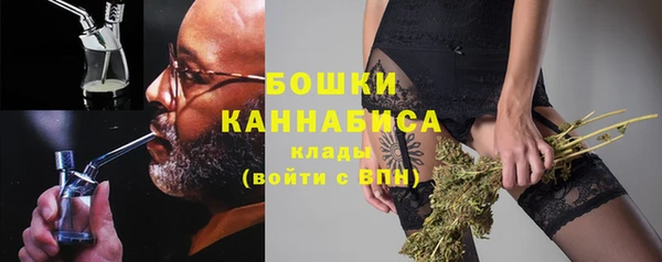 СК Новодвинск