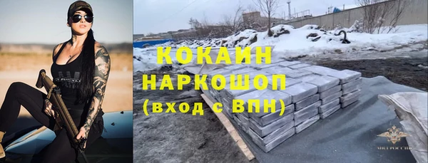 СК Новодвинск