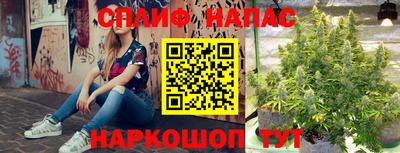 индика Абакан