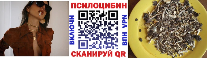дарнет шоп  Куйбышев  Галлюциногенные грибы Psilocybine cubensis 