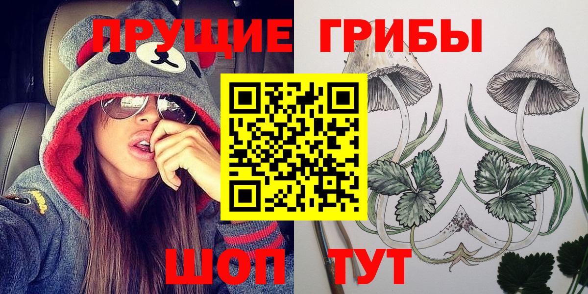 Галлюциногенные грибы Psilocybe  Галлюциногенные грибы MAGIC MUSHROOMS  Вход с VPN  Куйбышев 
